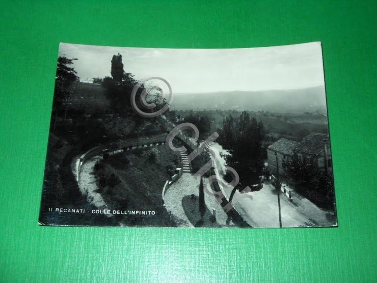 Cartolina Recanati - Colle dell' Infinito 1951.