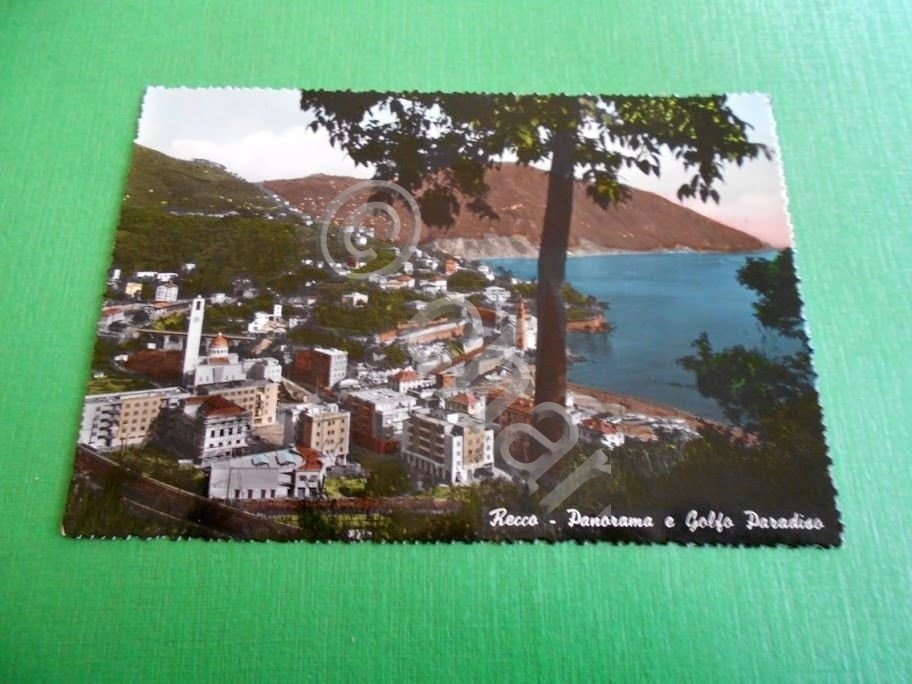 Cartolina Recco - Panorama e Golfo Paradiso 1957.