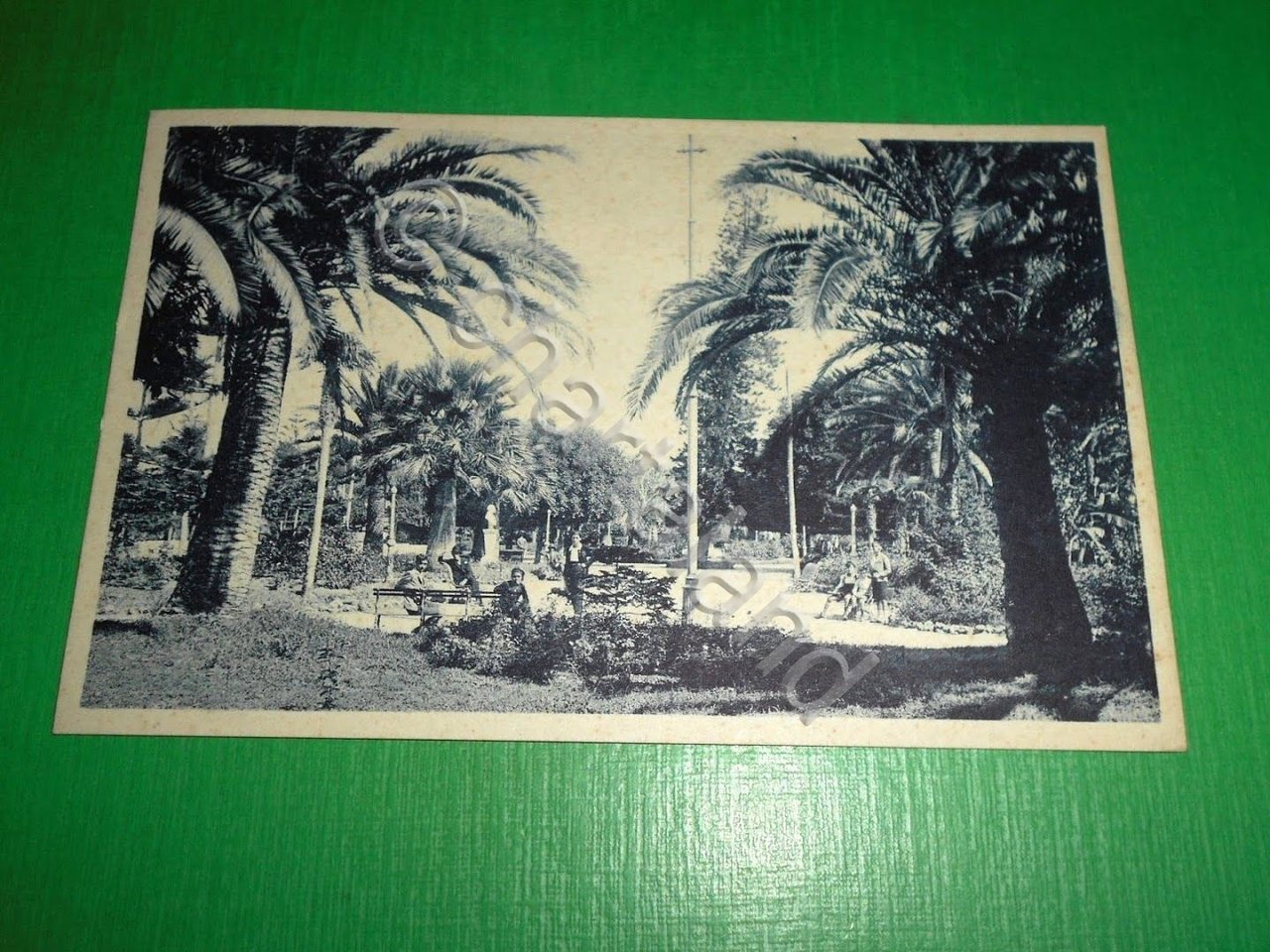 Cartolina Reggio Calabria - Villa Umberto I 1930 ca.