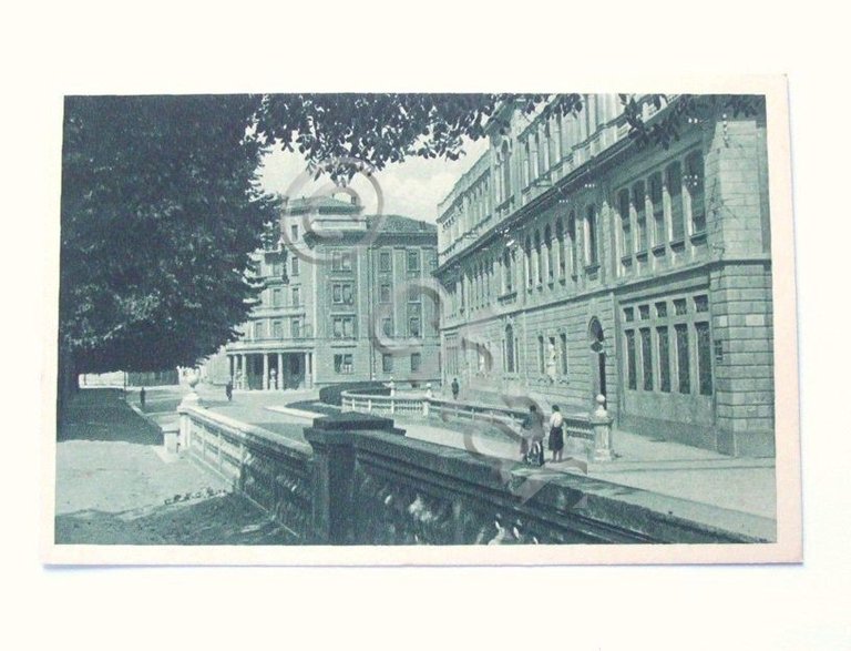 Cartolina Reggio Emilia - Viale Leopoldo Nobili 1940.
