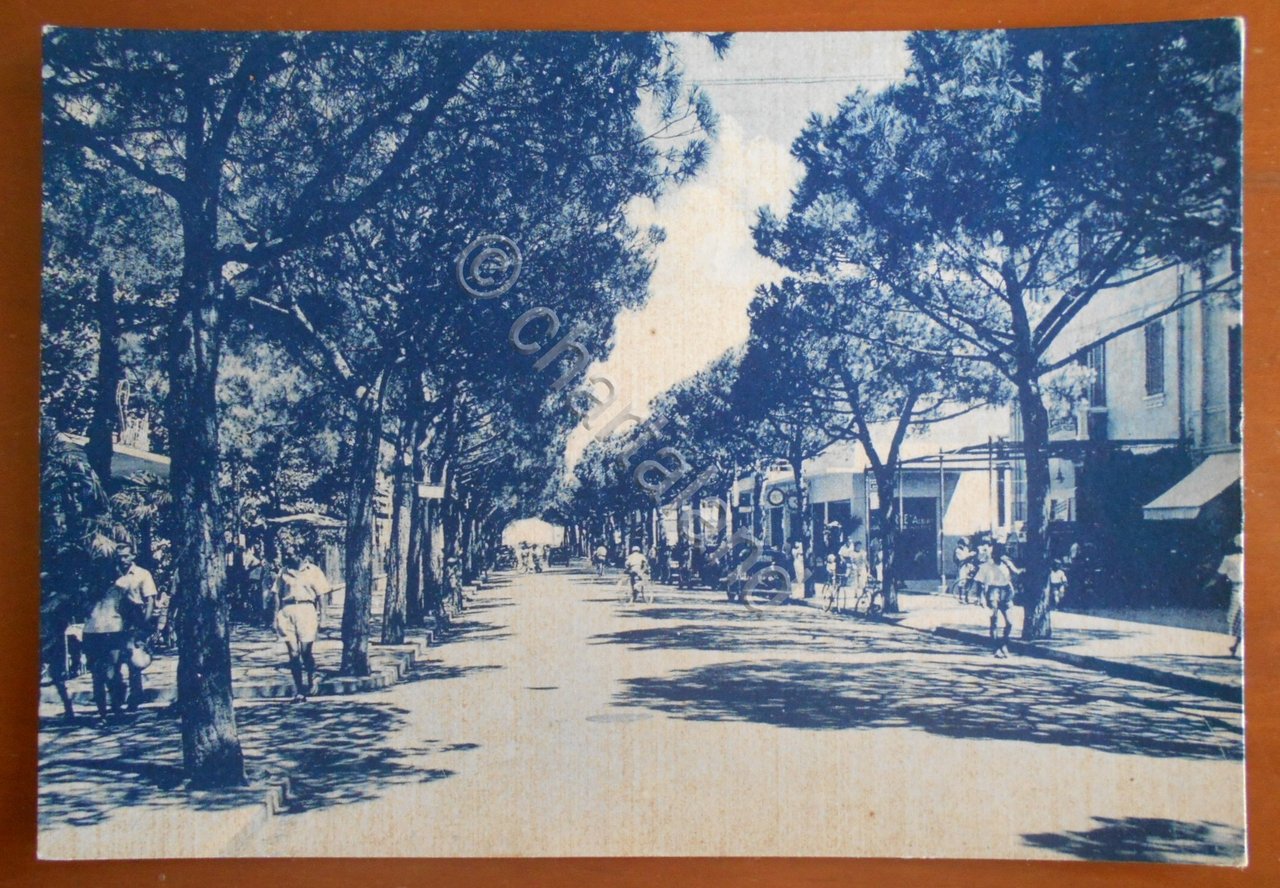 Cartolina Riccione - Viale Ceccarini - 1950 ca.