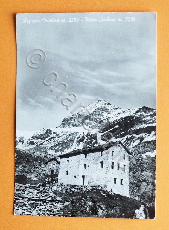 Cartolina Rifugio Cristina - Pizzo Scalino - 1960 ca..