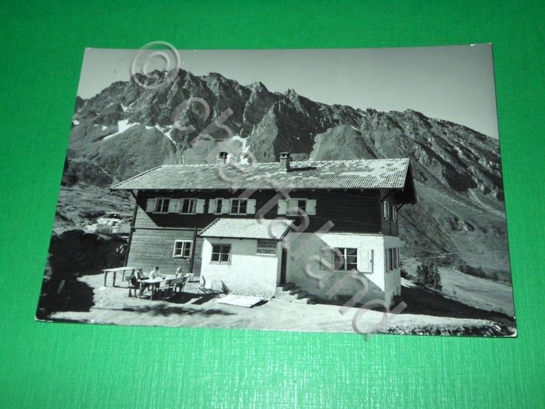 Cartolina Rifugio Genziana - Malga Zirago ( Brennero ) 1955 …