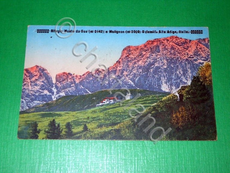 Cartolina Rifugio Monte da Sus e Molignon - Dolomiti - …