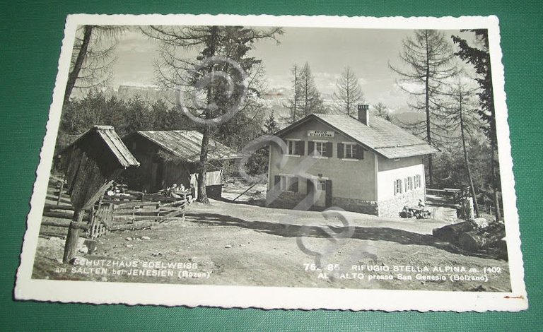 Cartolina Rifugio Stella Alpina Al Salto c/o S. Genesio
