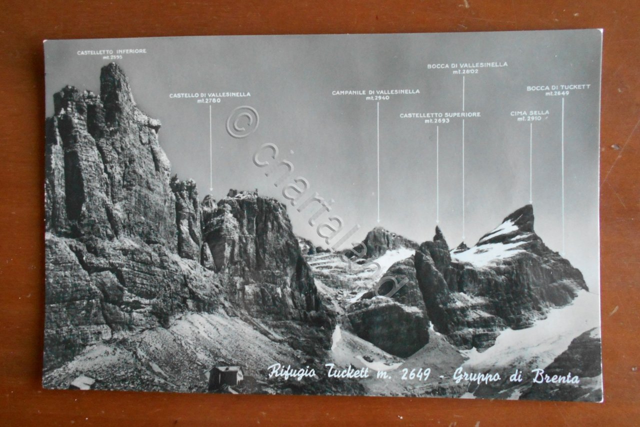 Cartolina Rifugio Tuckett m. 2649 - Gruppo di Brenta - …