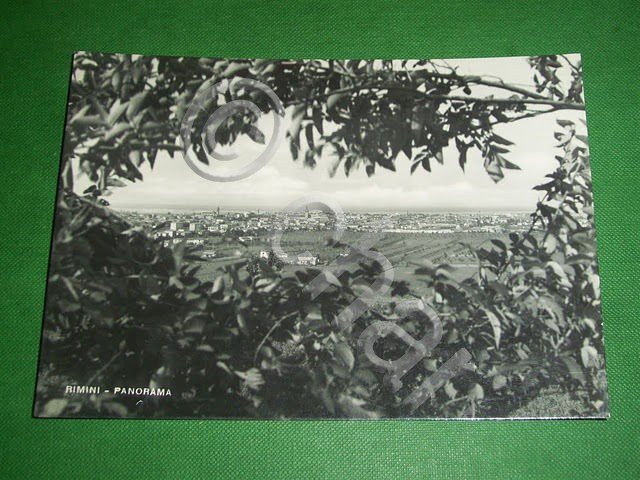 Cartolina Rimini - Panorama 1955 ca