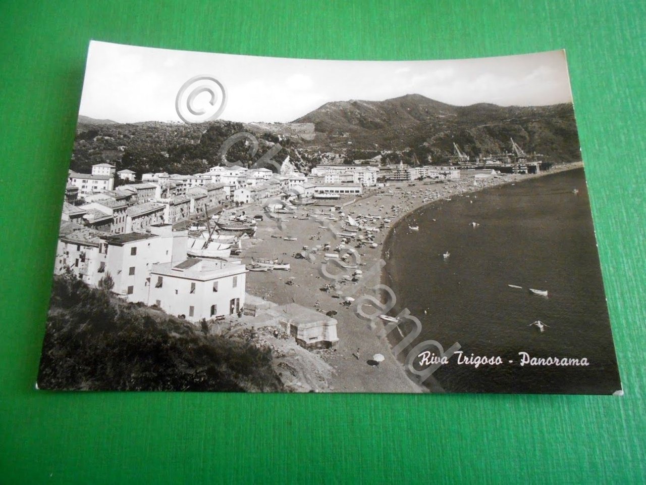 Cartolina Riva Trigoso - Panorama 1955 ca | Immagine principale