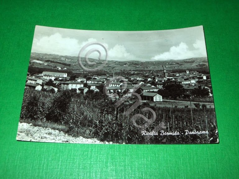 Cartolina Rivalta Bormida ( Alessandria ) - Panorama 1955 ca