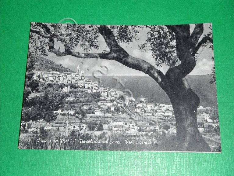 Cartolina Riviera dei Fiori - S. Bartolomeo del Cervo - … | Immagine Gallery 2