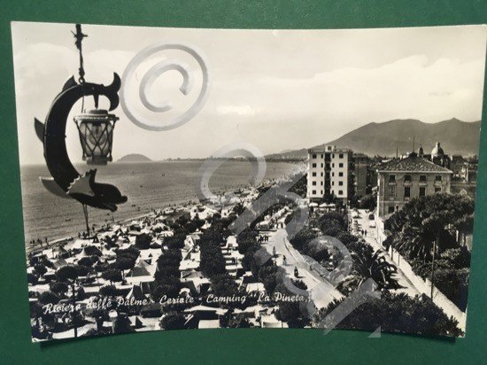 Cartolina Riviera Delle Palme - Ceriale - Camping La Pineta …