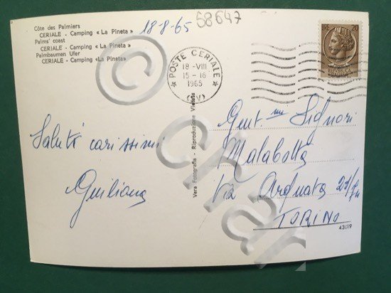 Cartolina Riviera Delle Palme - Ceriale - Camping La Pineta …