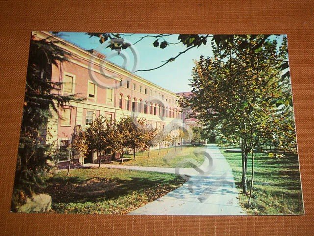 Cartolina Rivoli - Seminario Maggiore di Torino - dettaglio 1970 …