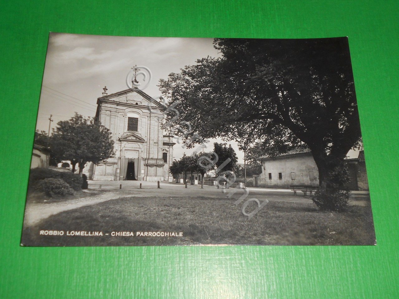 Cartolina Robbio Lomellina ( Pavia ) - Chiesa Parrocchiale 1960 …