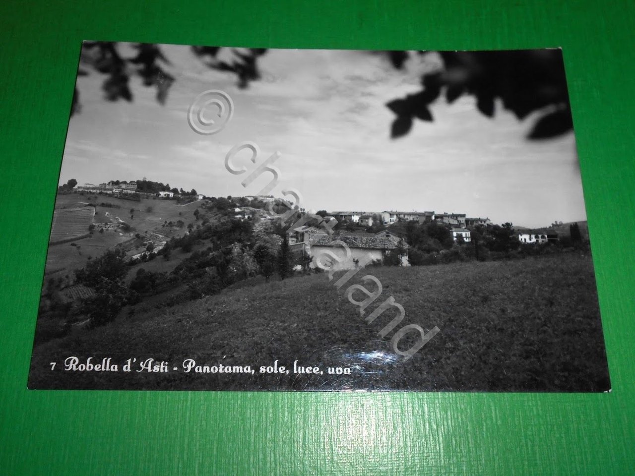 Cartolina Robella d' Asti - Panorama 1955