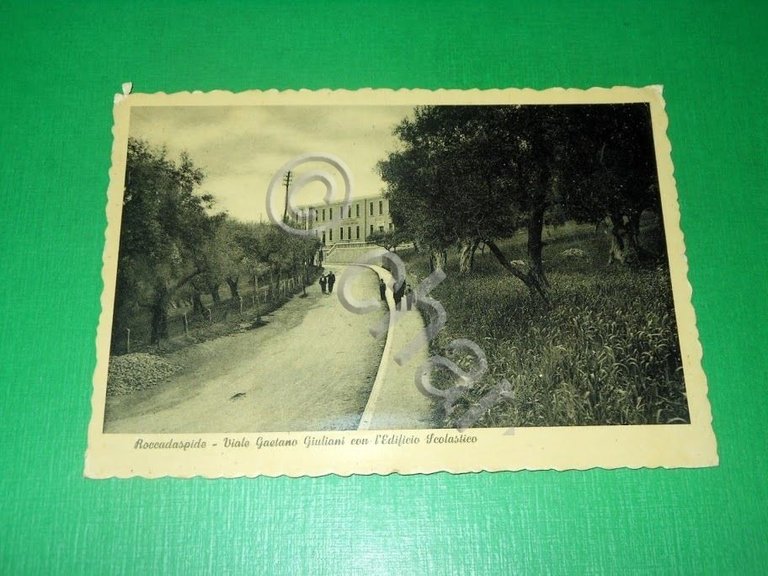 Cartolina Roccadaspide - Viale Gaetano Giuliani con l' Edificio Scolastico …