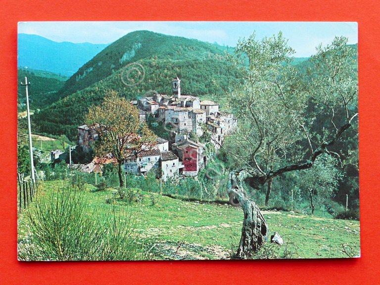 Cartolina Rocchette di Torri in Sabina - Panorama - 1980