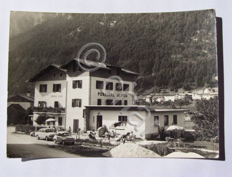 Cartolina Roda ( Ziano ) - Pensione Alpina 1958
