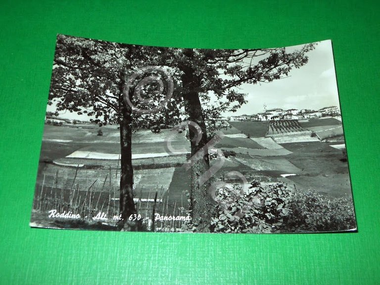 Cartolina Roddino ( Cuneo ) - Panorama 1959