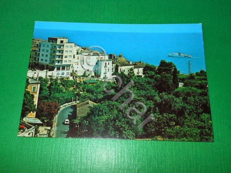 Cartolina Rodi Garganico - Panorama 1979