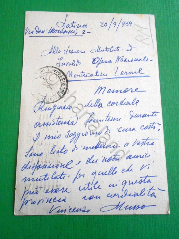 Cartolina Roma - Alleanza Tricolore Italiana 1959. | Immagine Gallery 2