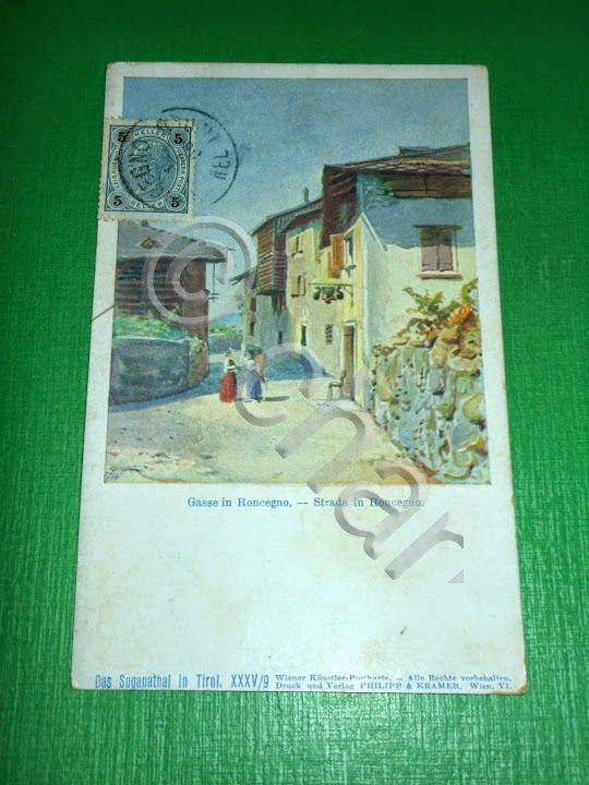 Cartolina Roncegno ( Trento ) - Particolare 1900 ca.