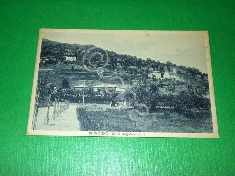 Cartolina Roncegno ( Trento ) - Santa Brigida e Colli …