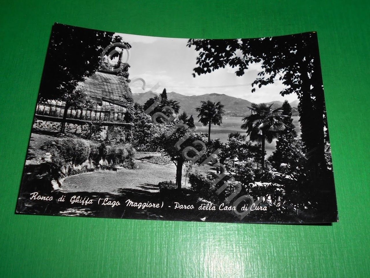 Cartolina Ronco di Ghiffa ( Lago Maggiore ) - Parco …