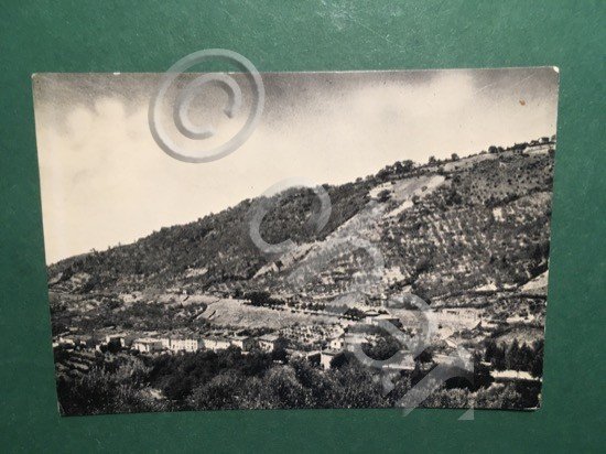 Cartolina Ronta - Panorama - 1953