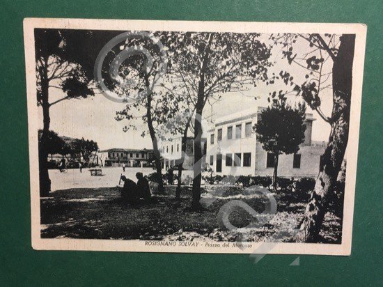 Cartolina Rosignano Solvay - Piazza del Mercato - 1950