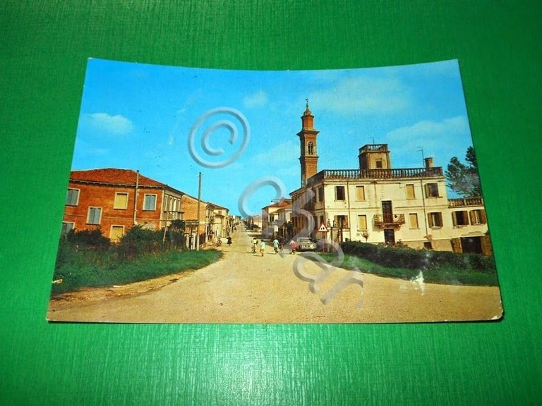 Cartolina Rottanova Di Cavarzere - Particolare 1970