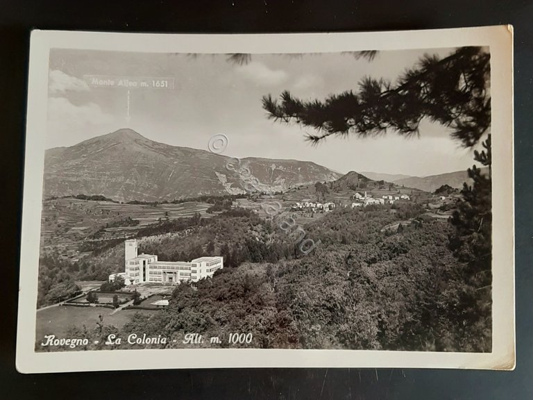Cartolina Rovegno - La Colonia - m. 1000 - 1957