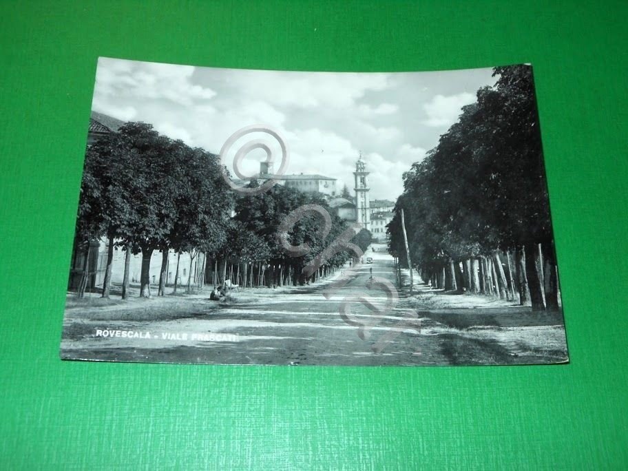Cartolina Rovescala - Viale Frascati 1958.