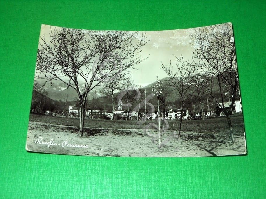 Cartolina Rueglio - Panorama 1955.