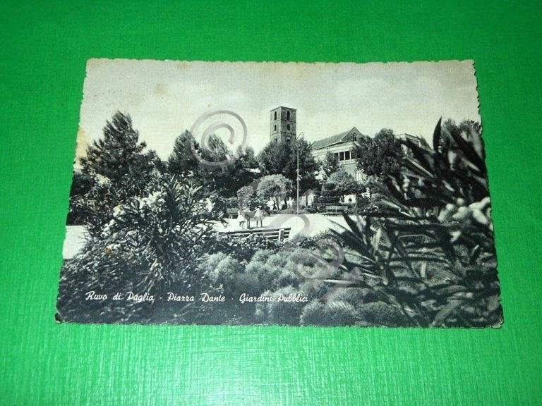 Cartolina Ruvo di Puglia - Piazza Dante - Giardini Pubblici …