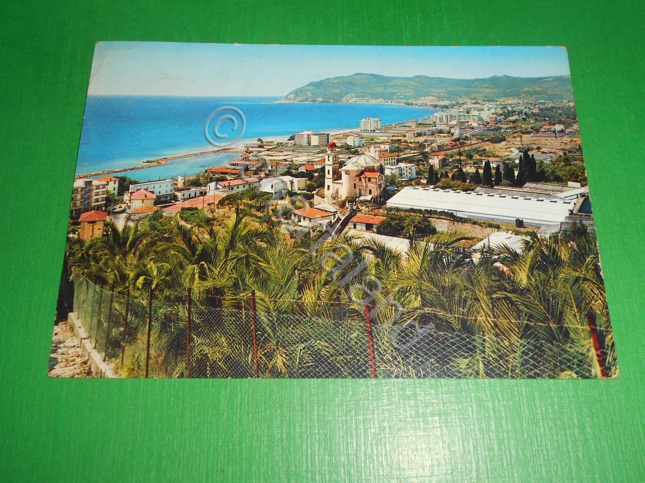 Cartolina S. Bartolomeo del Cervo - Panorama sfondo Capo Berta … | Immagine principale