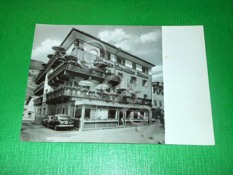Cartolina S. Candido - Albergo Cavallino Bianco 1955 ca.