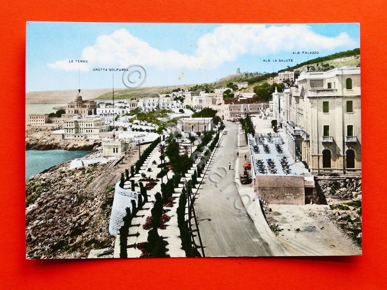 Cartolina S. Cesarea Terme - Panorama e pineta - 1960 …
