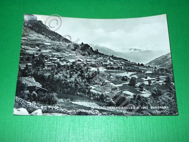 Cartolina S. Colombano ( Exilles ) - Panorama 1954
