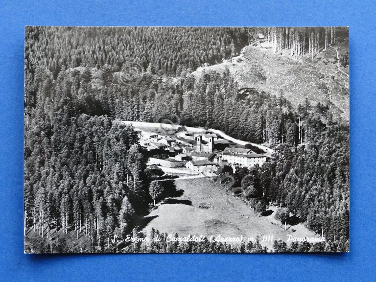 Cartolina S. Eremo di Camaldoli - Panorama - 1958 | Immagine Gallery 2