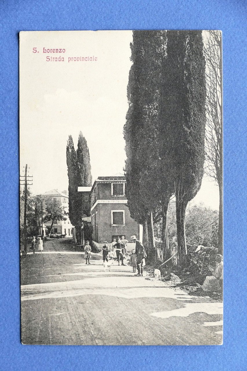Cartolina S. Lorenzo - Strada Provinciale - 1910 ca..