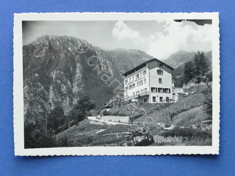 Cartolina S. Lorenzo Banale - Albergo Miravalle - 1955