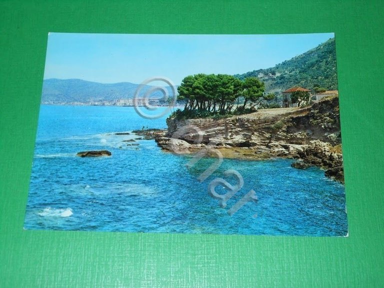 Cartolina S. Marco di Castellabate - Piccola Pineta 1960 ca