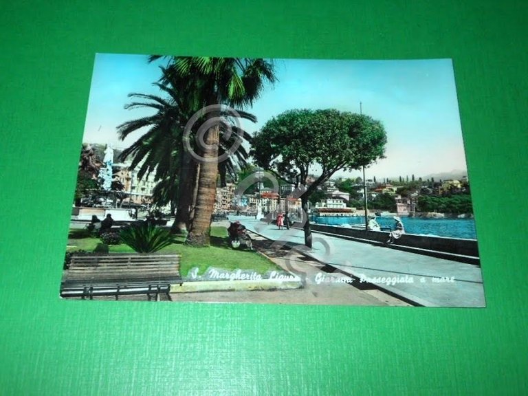 Cartolina S. Margherita Ligure - Giardini Passeggiata a mare 1957
