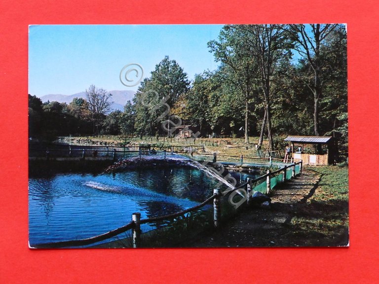 Cartolina S. Martino sopra Intra Laghetto La Betulla - 1970 …