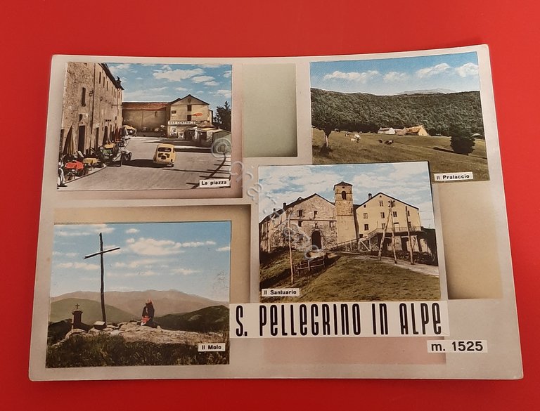 Cartolina S. Pellegrino in Alpe m. 1525 - Il Prataccio …