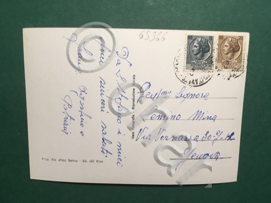 Cartolina S. Stefano D'Aveto - 1960