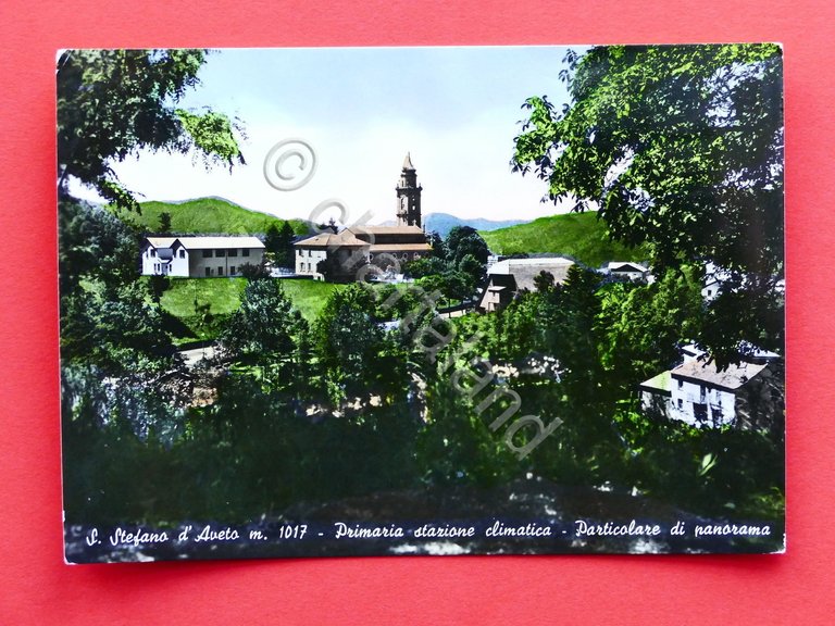 Cartolina S. Stefano d'Aveto - Particolare di panorama - 1957.