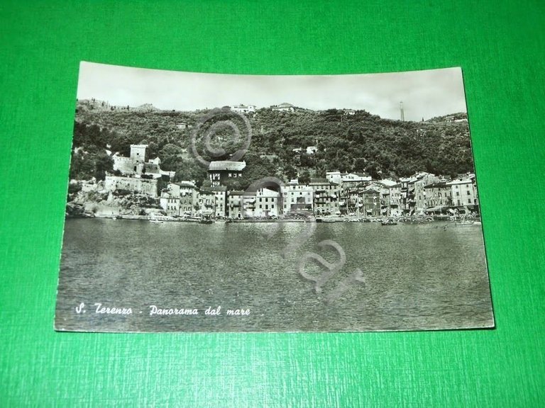 Cartolina S. Terenzo - Panorama dal mare 1955 ca.