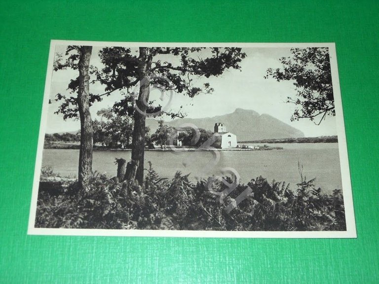 Cartolina Sabaudia - S. Maria della Sorresca - Prop. Fascio …